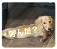 885609780