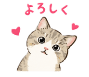 885611195