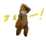 885614449