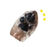 885615765