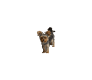 885615783