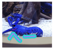 885619387