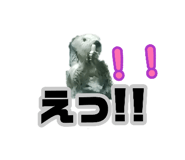 885619399