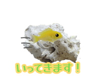 885619400