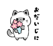 885622515