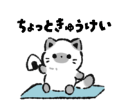 885622517