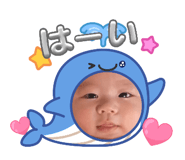 885623055