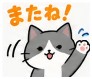 885623904