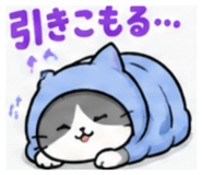 885623912