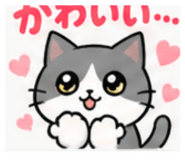 885623915