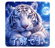 885624234