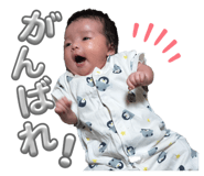885626986