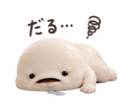 885637844