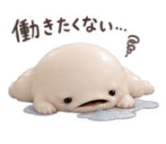 885637849