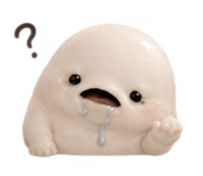 885637855