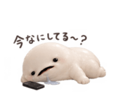885637858