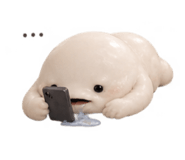 885637859