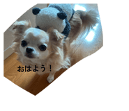 885638824