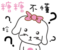 88563904