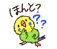 885639356