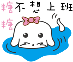 88563936