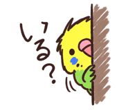885639362