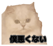 885640089