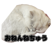 885640091