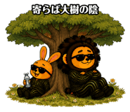 885642799