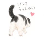 885642847