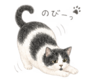 885642861