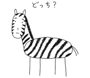 885648266