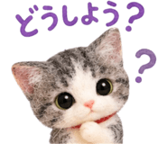 885653404
