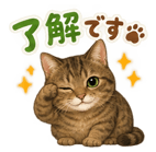 885655603