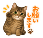 885655606