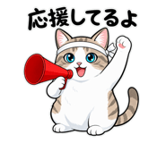 885656118