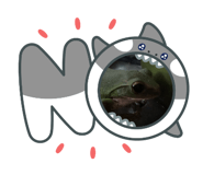 885656554