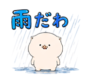 885656625