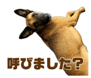 885658924