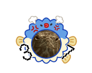 885659995