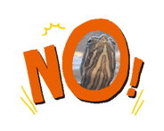 885659997