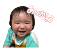 885661491