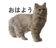 885661929