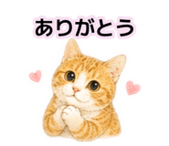 885662403