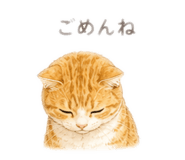 885662404