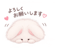 885663571