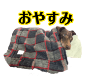 885665770