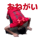 885667566