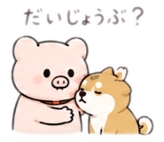885668564