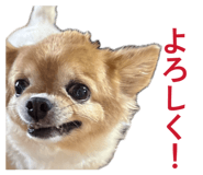885668681
